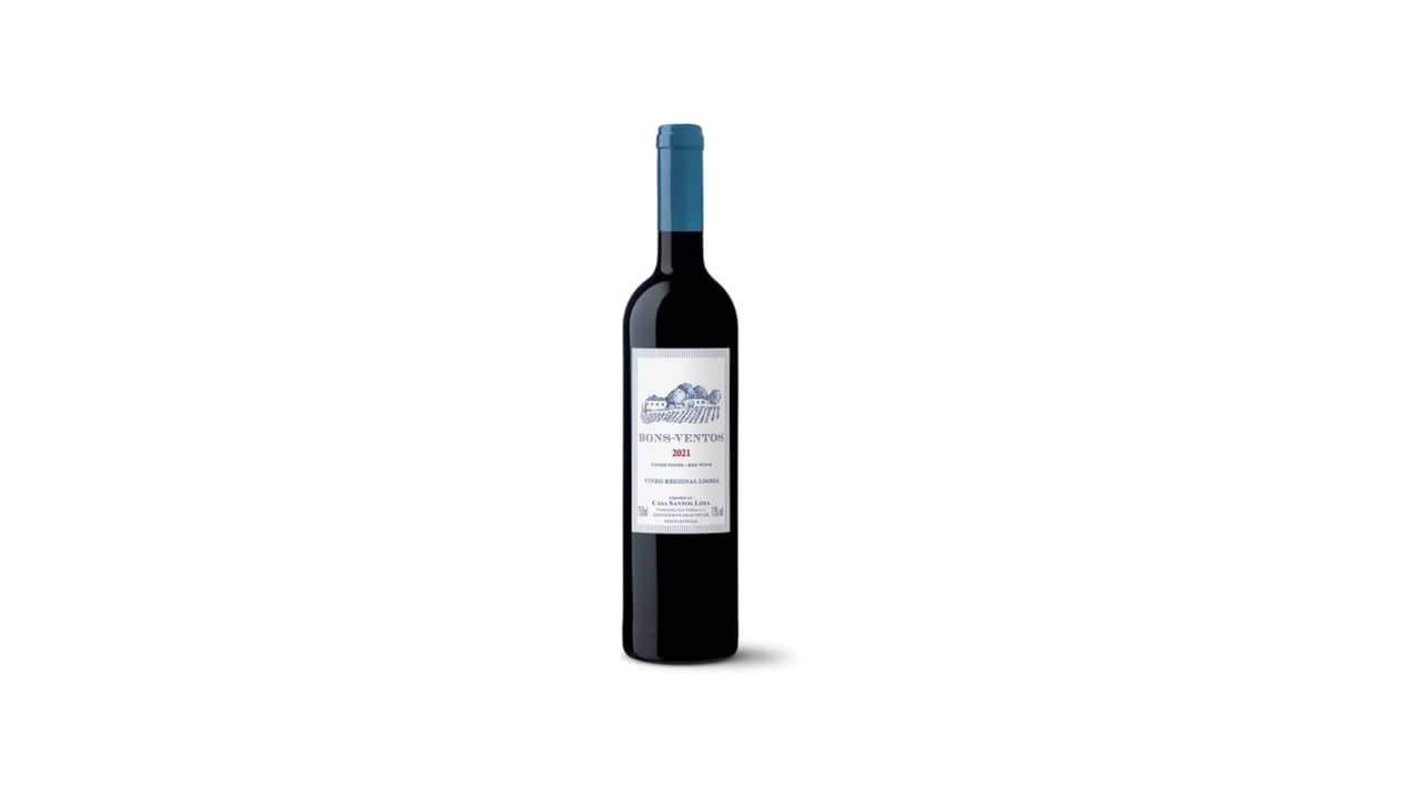10 Melhores Vinhos Argentinos Bons e Baratos: Análise Completa