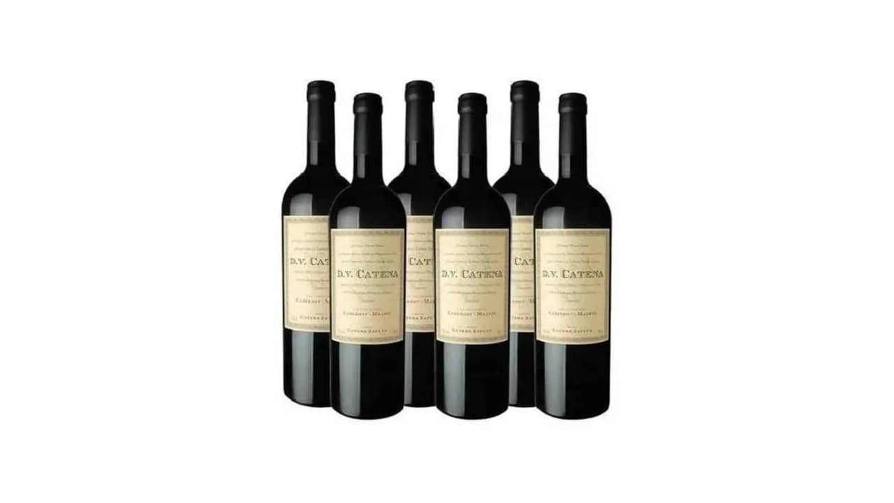 10 Melhores Vinhos Argentinos Malbec: Qual É o Suporte Ideal?