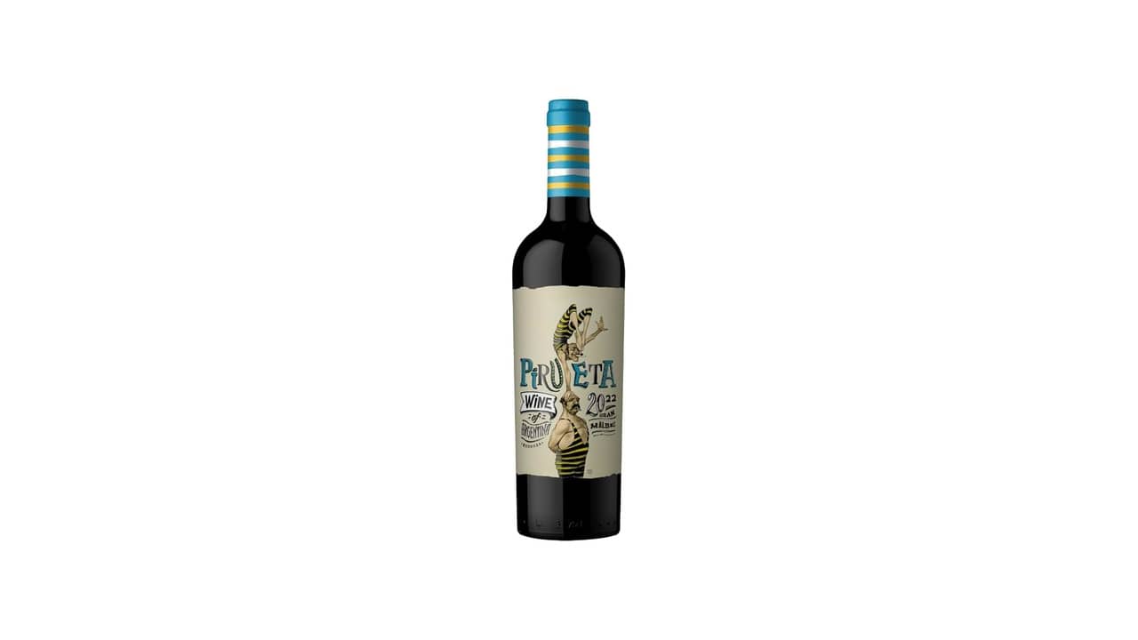 10 Melhores Vinhos Argentinos para Churrasco: Malbec e Cabernet Sauvignon