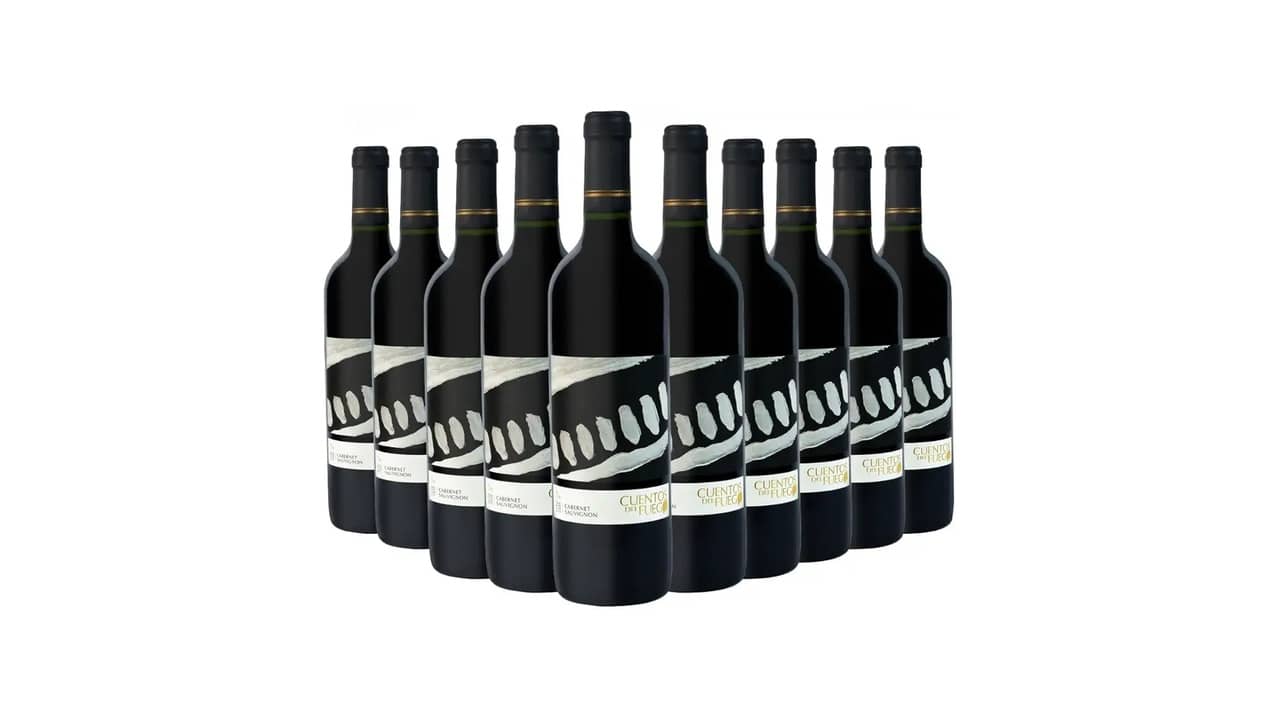 10 Melhores Vinhos Chilenos Cabernet Sauvignon: Qual é o Melhor?