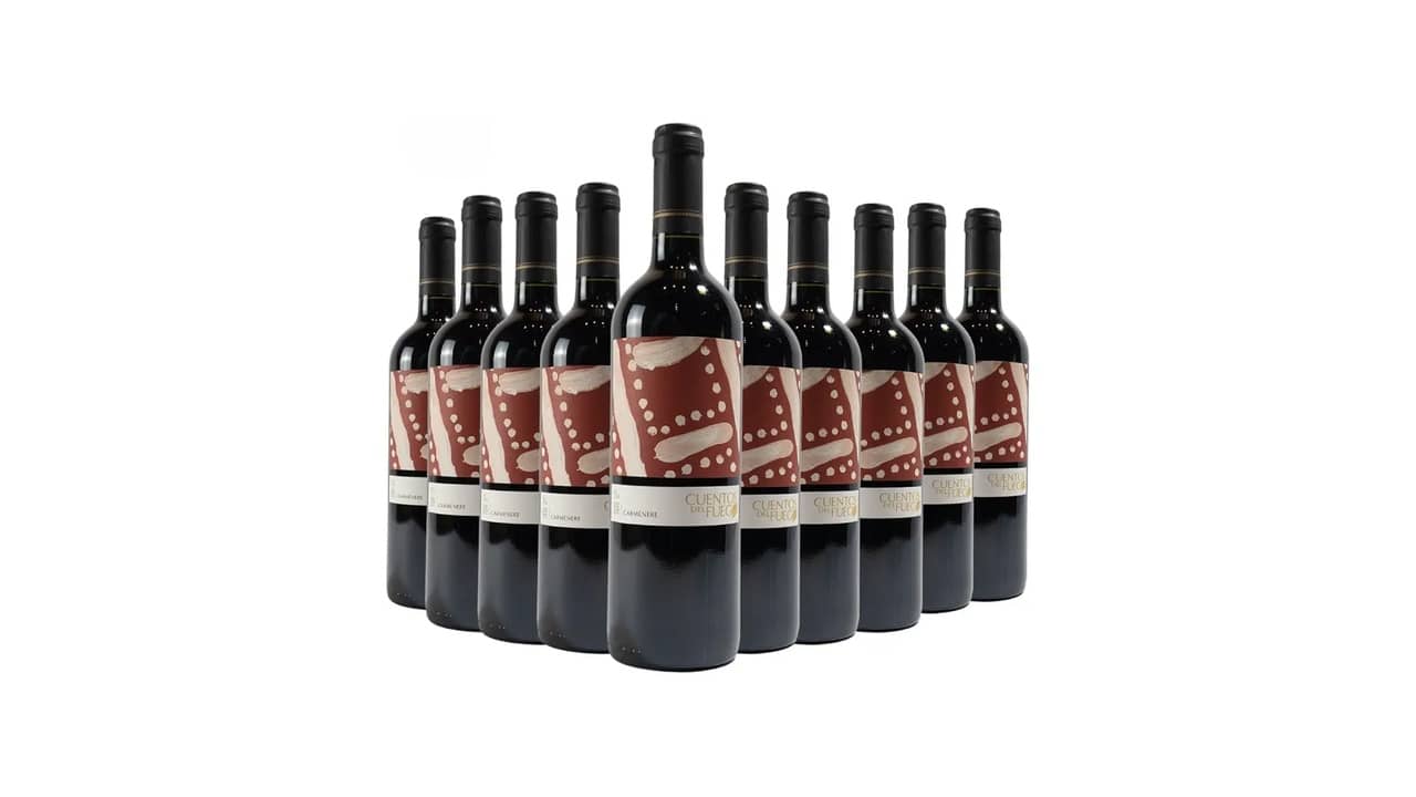 10 Melhores Vinhos Chilenos Carmenère: Qual É o Ideal Para Você?