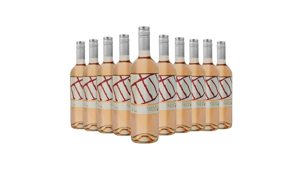 10 Melhores Vinhos Rosés: Qual É o Mais Versátil e Alegre?