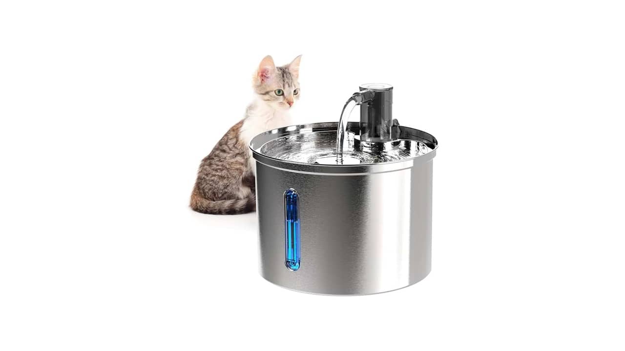 Bebedouro Acessível: As 10 Melhores Opções para Cães e Gatos