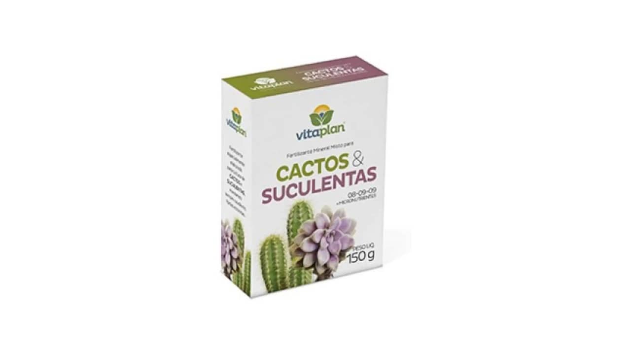 Melhor Adubo para Plantas Suculentas: Fertilizantes Especializados e Recomendações
