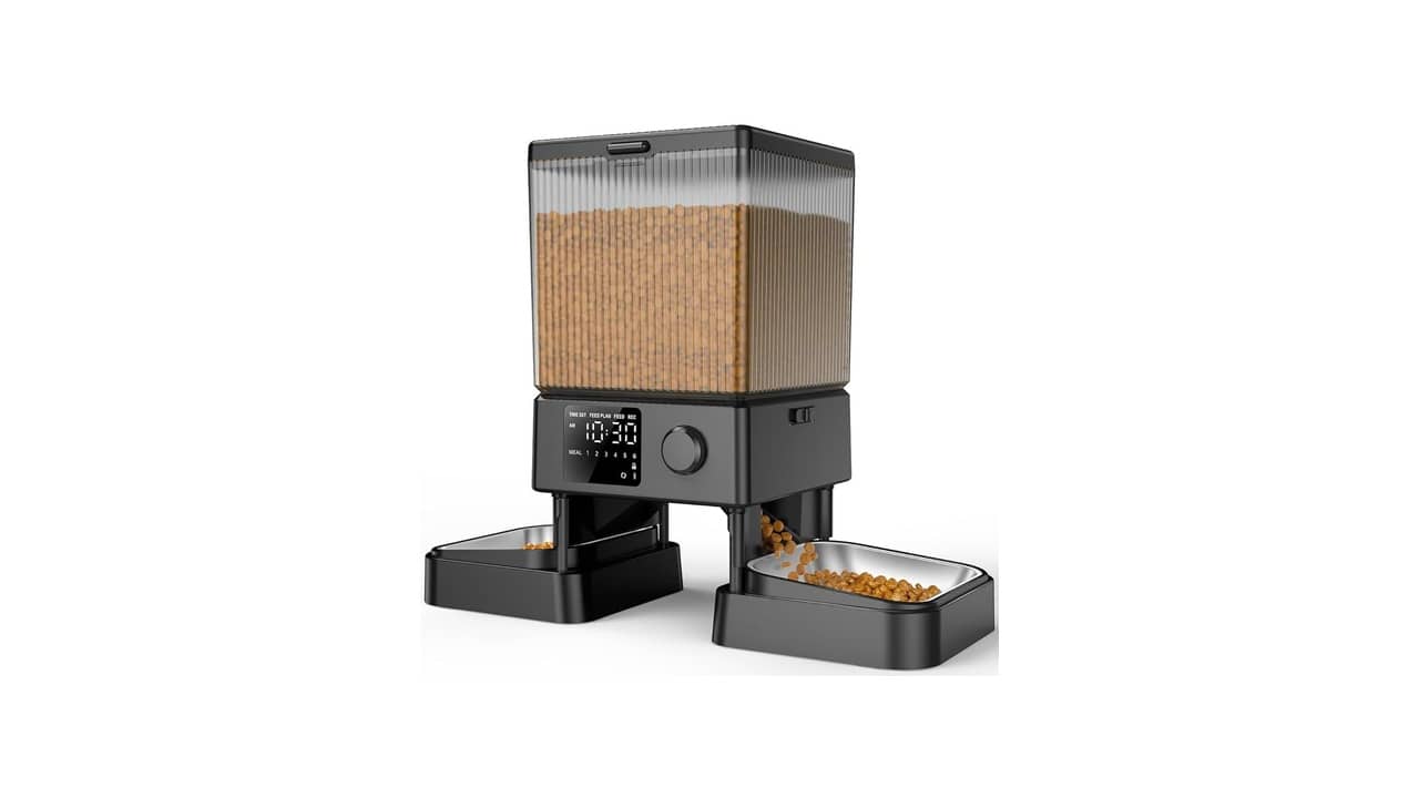 Melhor Alimentador Automático Gatos: Inteligência e Conveniência