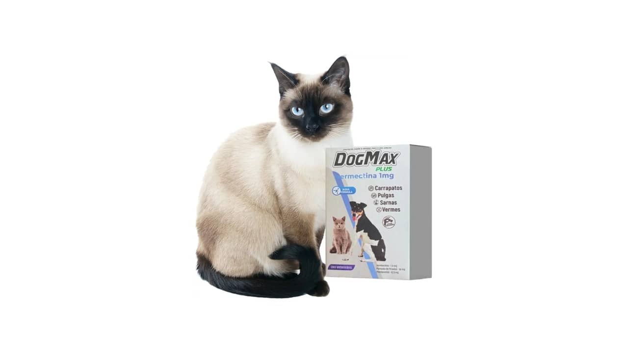 Melhor Anti-pulga para Gato: Top 10 Opções Eficazes