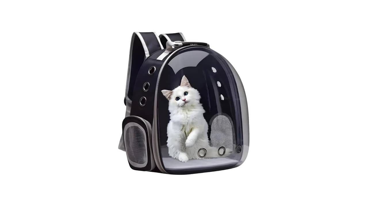 Melhor Bolsa de Transporte para Gatos: 10 Modelos Seguros