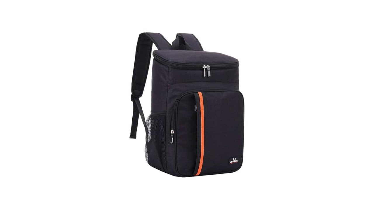 Melhor bolsa térmica cerveja: Para Praia e Lazer