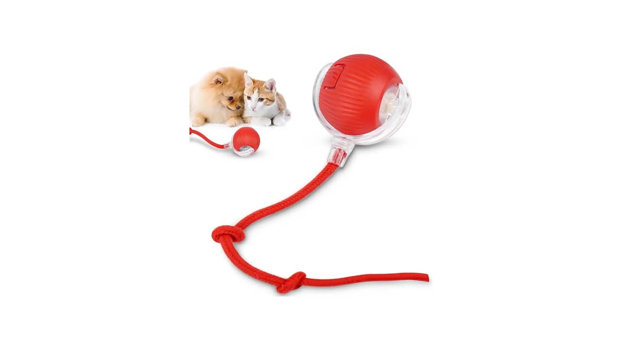 Melhor Brinquedo de Gato: 10 Opções Anti-Estresse