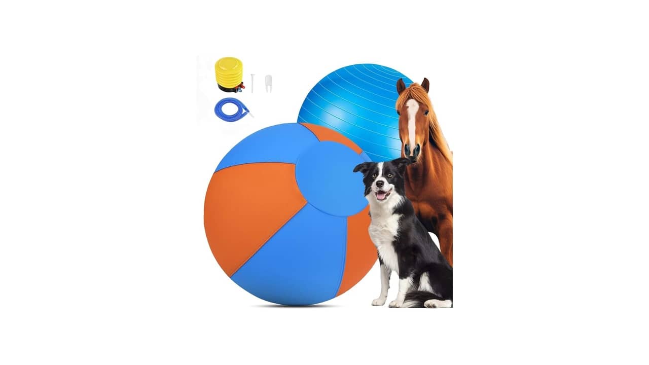 Melhor Brinquedo para Border Collie: Análise Detalhada das 10 Opções Mais Indicadas