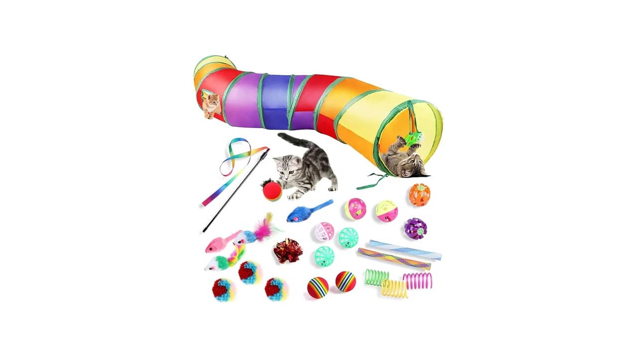 Melhor Brinquedo para Gato Filhote: 10 Boas Opções