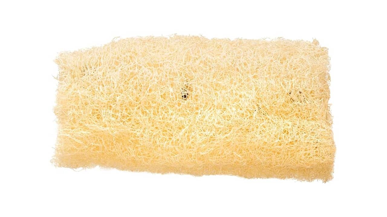 Melhor Bucha de Banho: Esponjas Vegetais vs. Esponjas Massageadoras