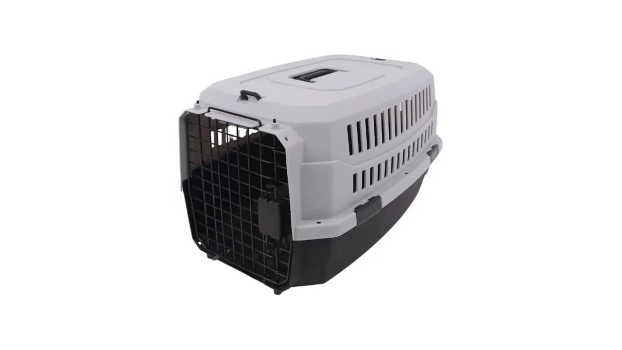 Melhor caixa de transporte para cão: 10 Opções Seguras