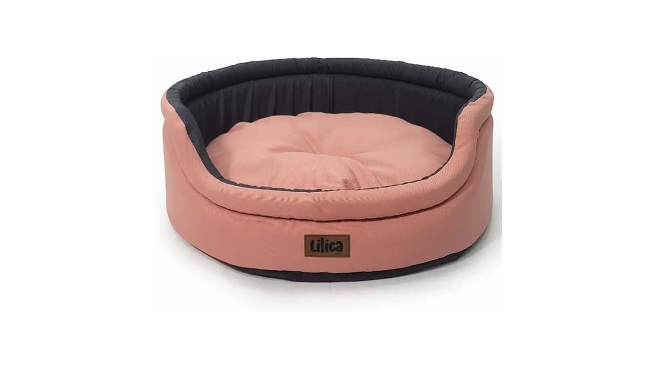 Melhor Cama para Shih Tzu: Conforto e Estilo em 10 Opções