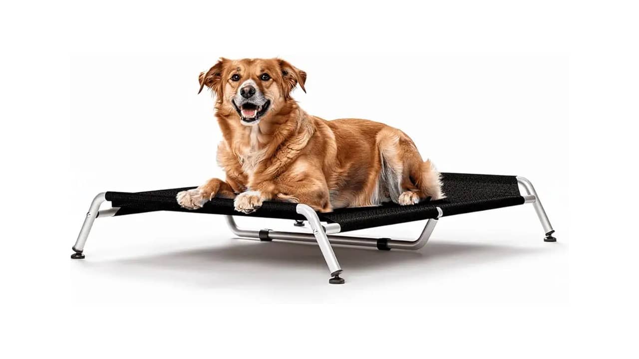 Melhor Cama Suspensa para Cachorro: Comodidade e Resistência