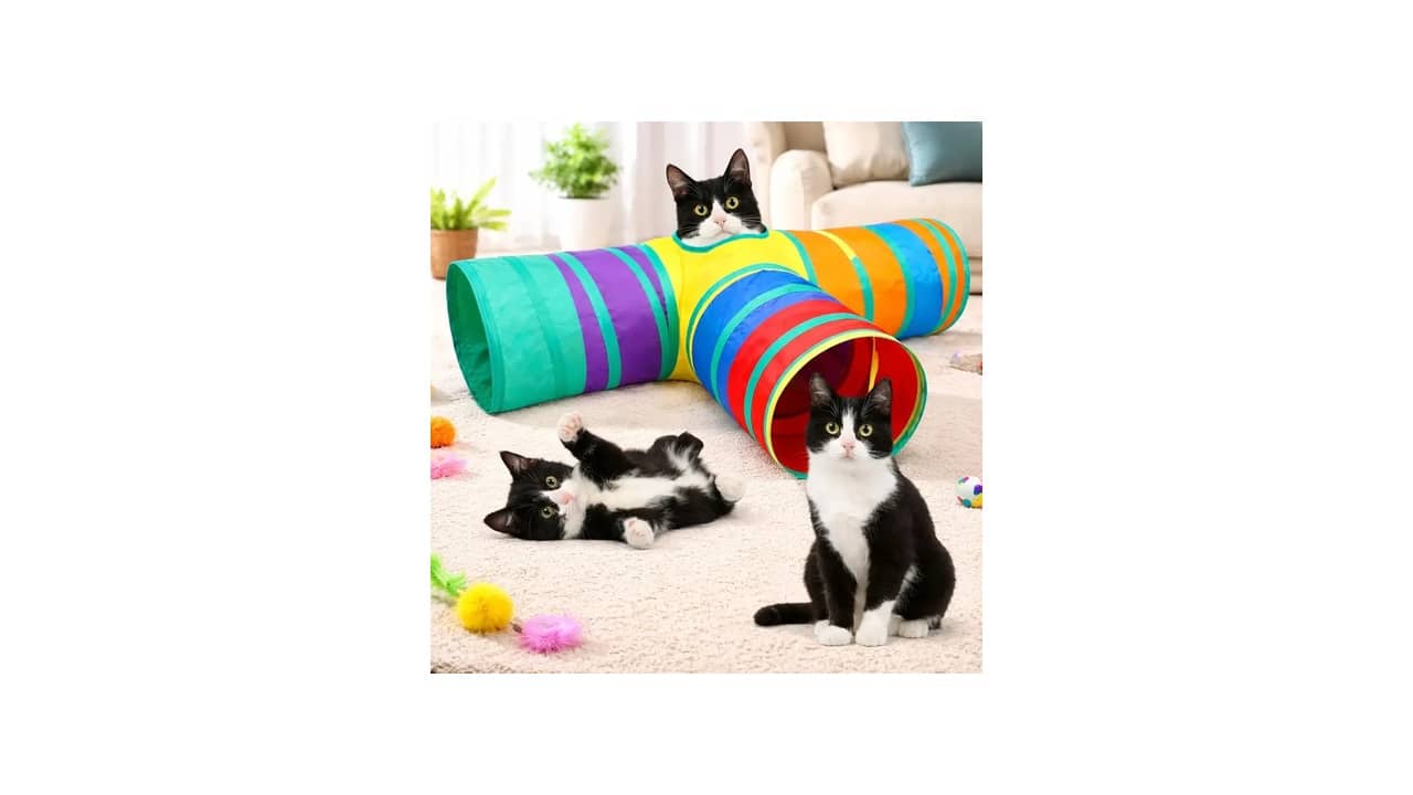 Melhor Caminha para Gatos: Conforto e Diversão Para Seu Pet