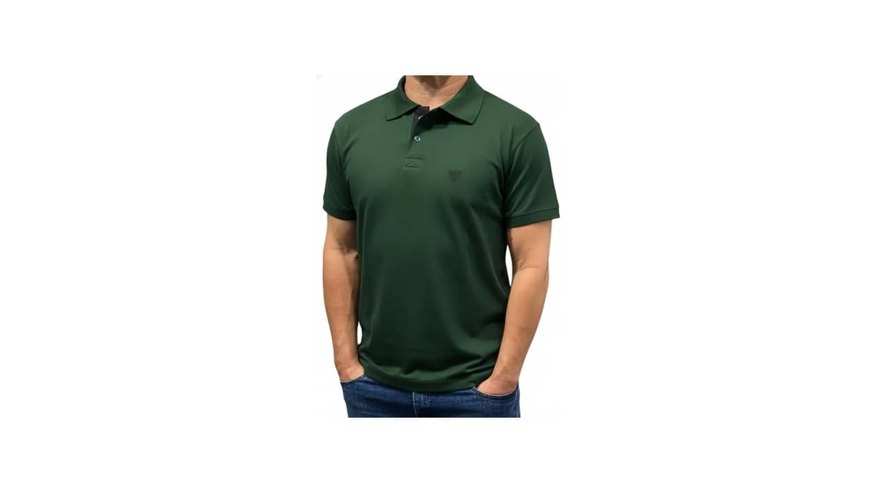 Melhor Camisa Polo Masculina: 10 Modelos com Ótimo Custo