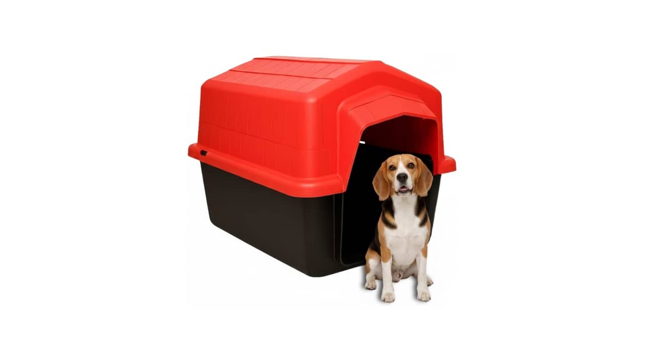Melhor Casinha de Cachorro para Área Externa: Modelos Resistentes