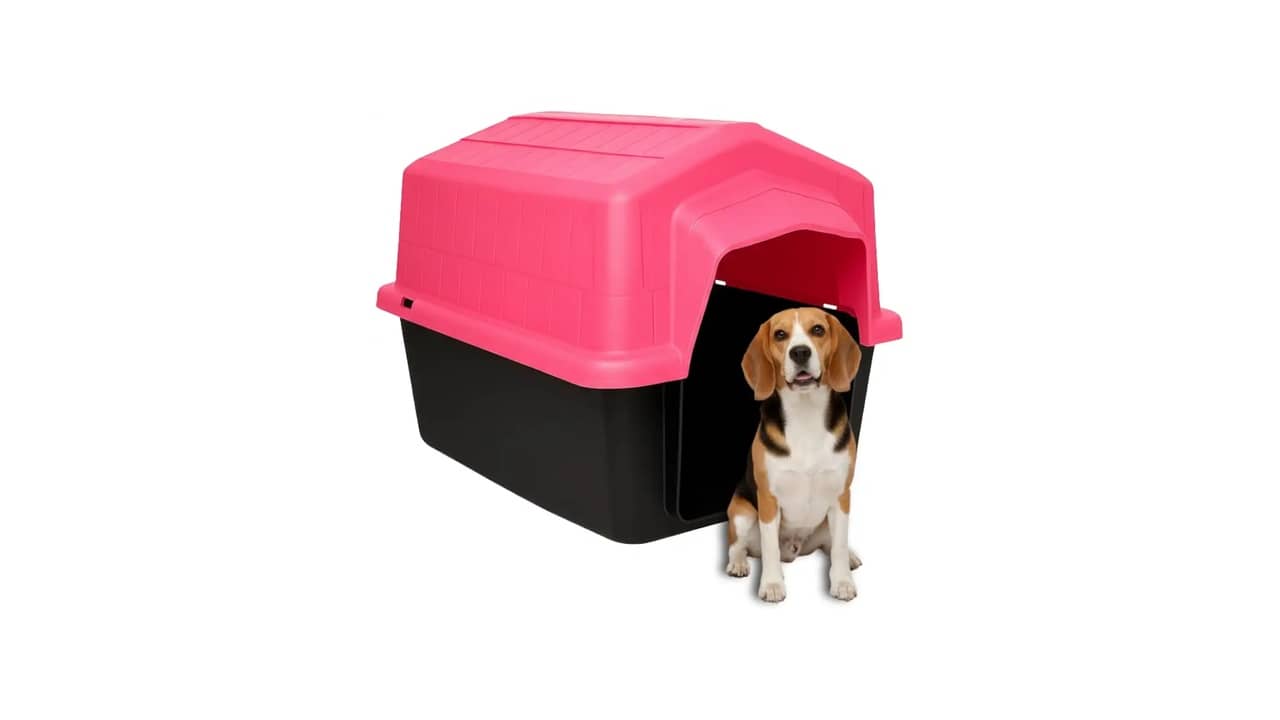 Melhor Casinha para Cachorro Grande: Proteção UV e Resistentes a Chuva