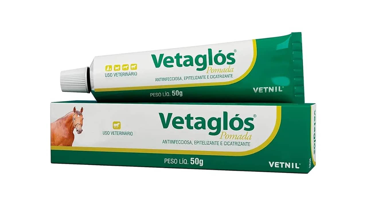 Melhor Cicatrizante para Gatos: Qual Formulação Cura Mais Rapidamente?
