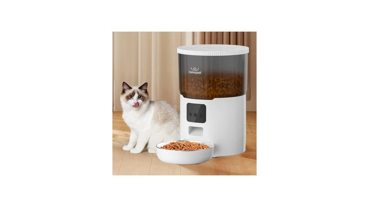Melhor comedouro automático para gato: Wi-Fi ou Gravidade?