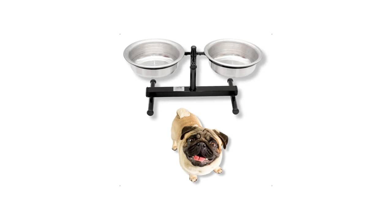 Melhor Comedouro para Pug: Comodidade e Estilo para Seu Amigo de Quatro Patas