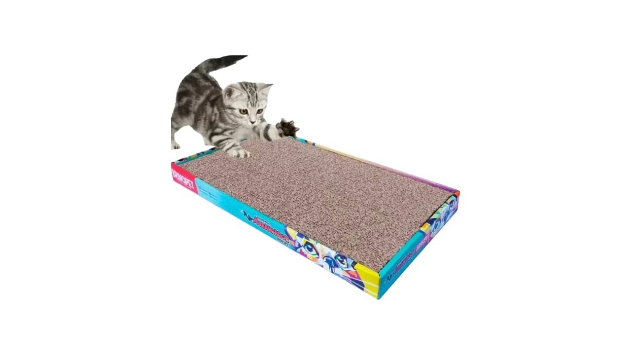 Melhor Cortina para Gatos: Proteção e Estilo