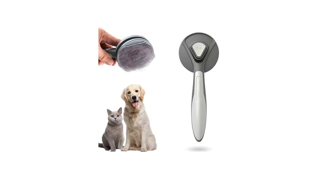 Melhor escova para cachorro pelo curto: 8 Opções Suaves e Eficazes