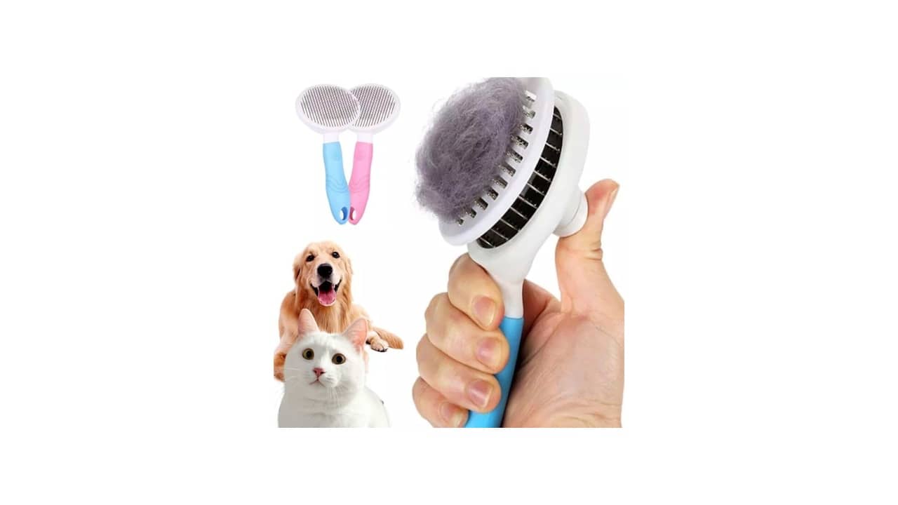 Melhor Escova Para Cachorro: 10 Modelos Eficientes