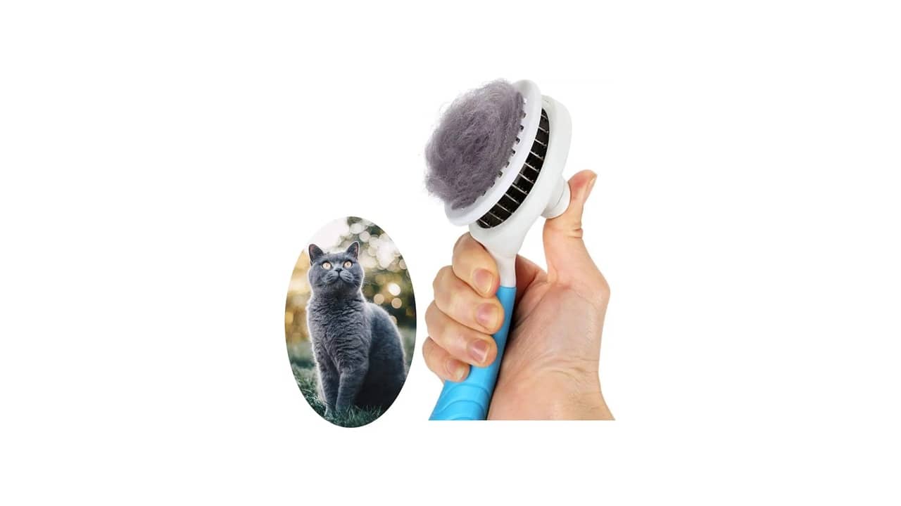 Melhor Escova para Gatos Pelo Curto: Suavidade e Eficiência