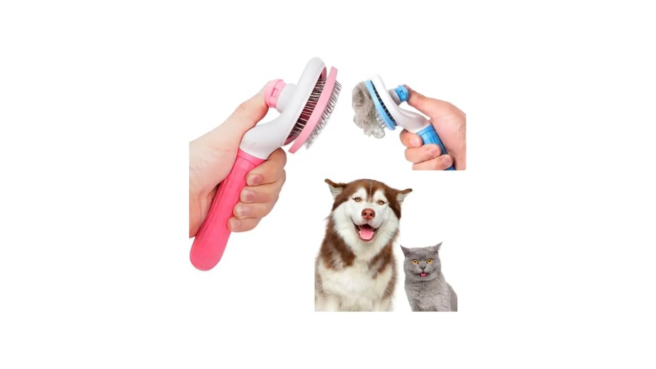 Melhor Escova para Shih Tzu: 10 Modelos Anti-Nós