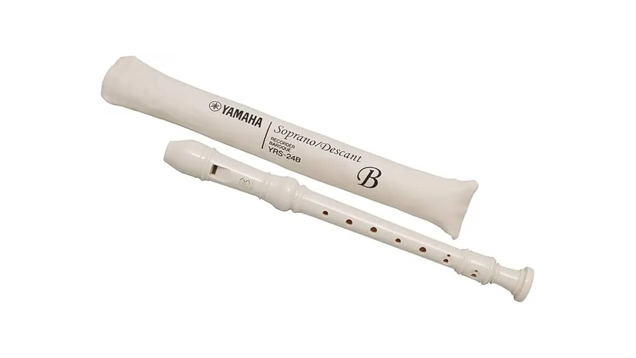 Melhor Flauta Doce Profissional: 5 Opções de Alta Performance