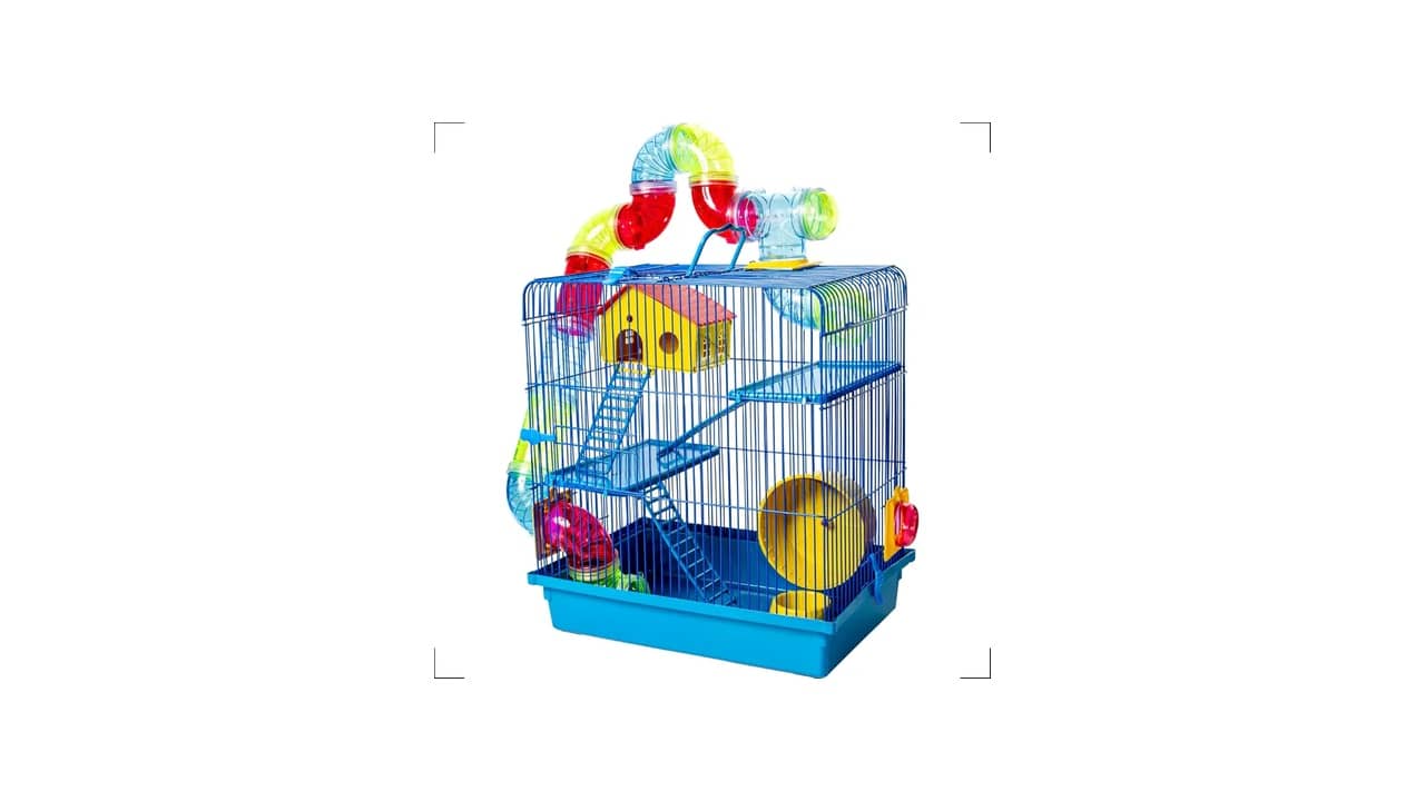 Melhor gaiola para hamster: 10 Opções Espaçosas
