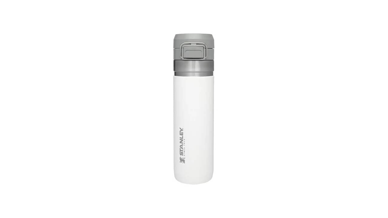 Melhor Garrafa Térmica Stanley: Qual Modelo Comprar?