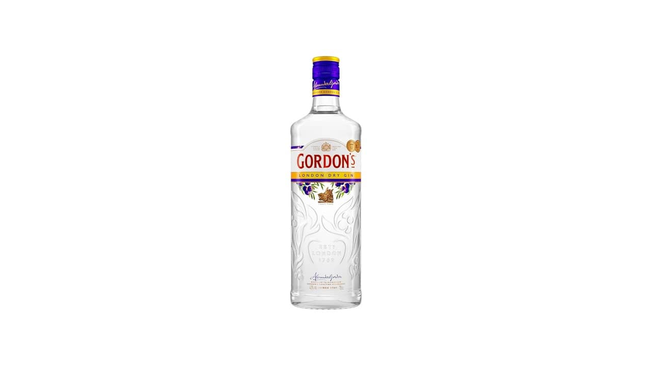 Melhor Gin: Guia Para Encontrar Seu Sabor Ideal