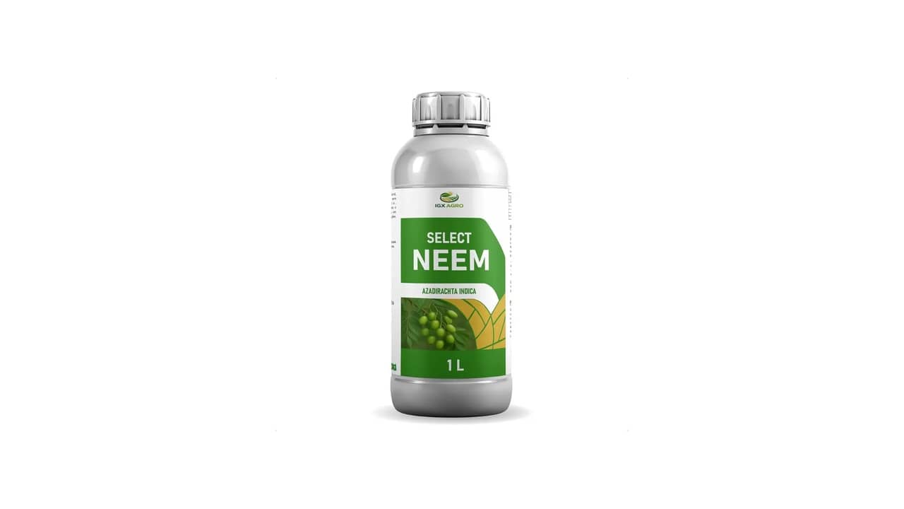 Melhor Inseticida para Horta: Óleo de Neem vs Deltametrina