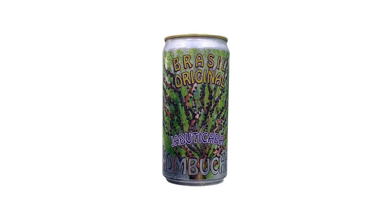 Melhor Kombucha do Brasil: Guia de Sabores e Kits