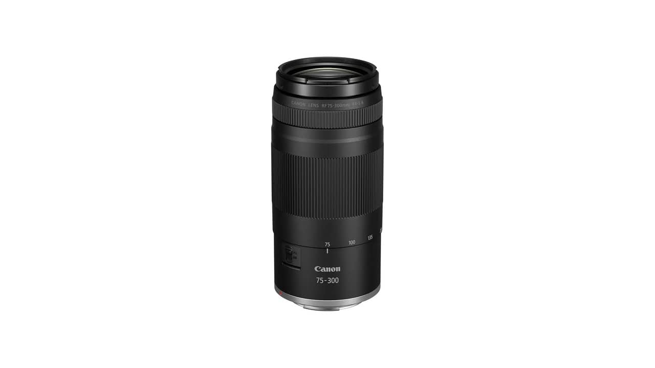 Melhor Lente Teleobjetiva para Fotografia Esportiva e Vida Selvagem: Análise Completa