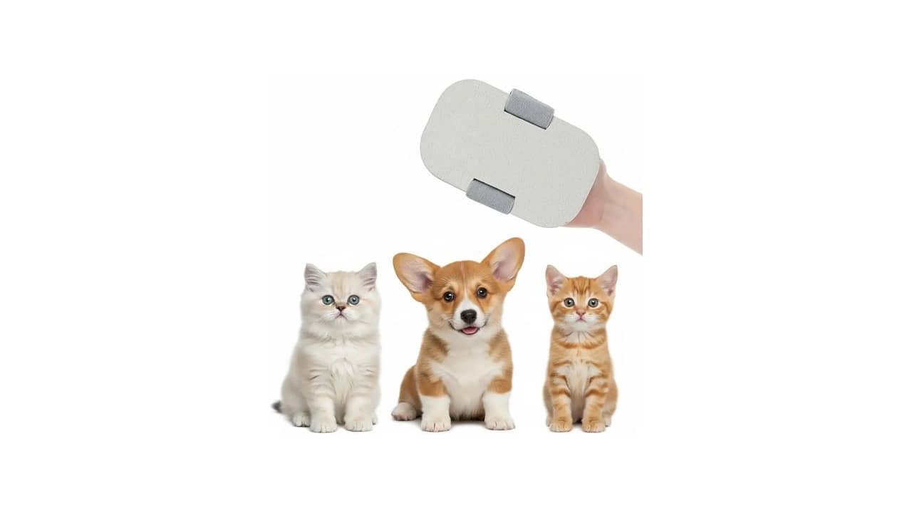 Melhor Lixa de Unha para Cachorro: Recomendações para Unhas Lisas e Saudáveis