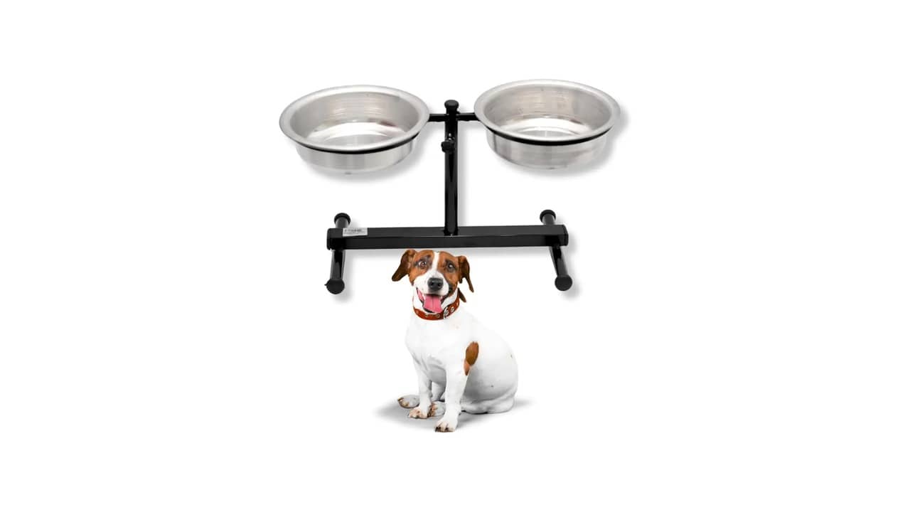 Melhor material para comedouro de cachorro: Qual é o Mais Higiênico?