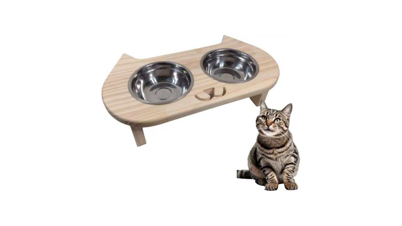 Melhor material para comedouro de gato: Inox ou Plástico?