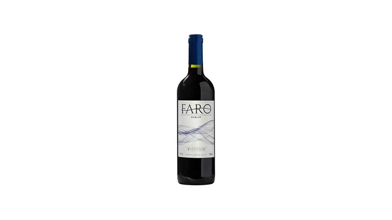 Melhor Merlot do Mundo: Guia com os 10 Destaques