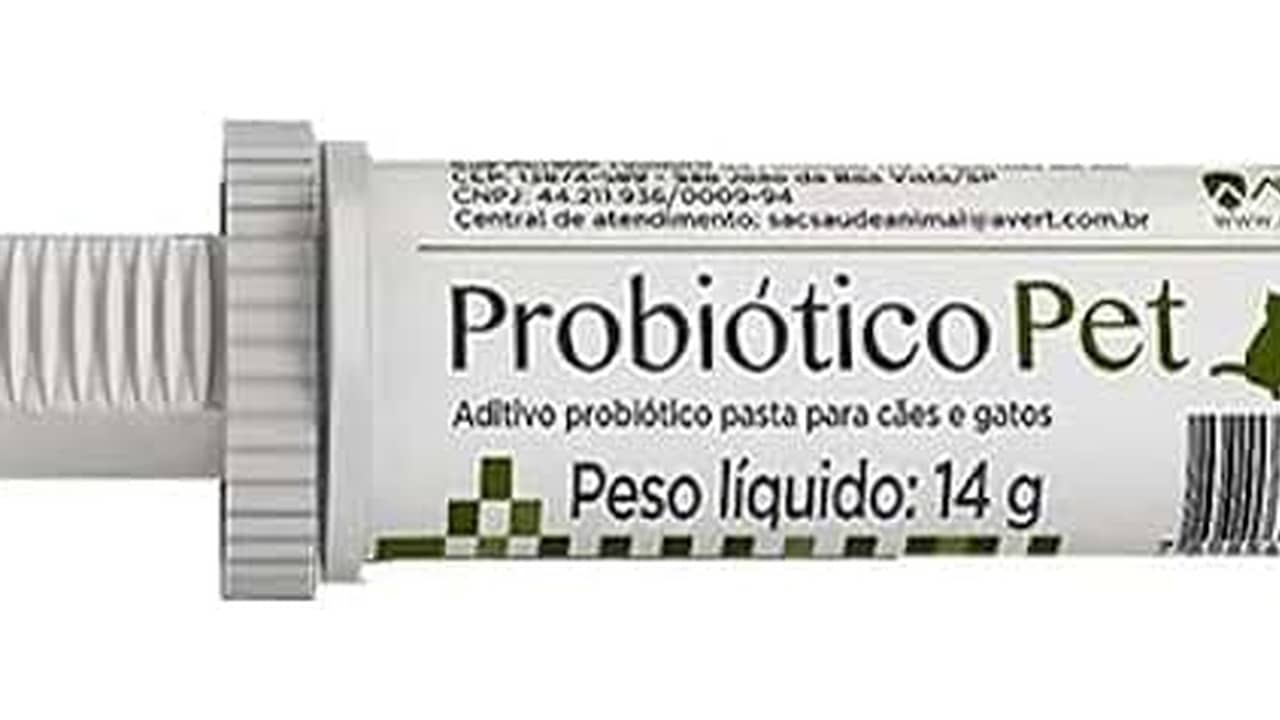 Melhor Probiótico para Cachorro: 10 Opções para Regular o Intestino