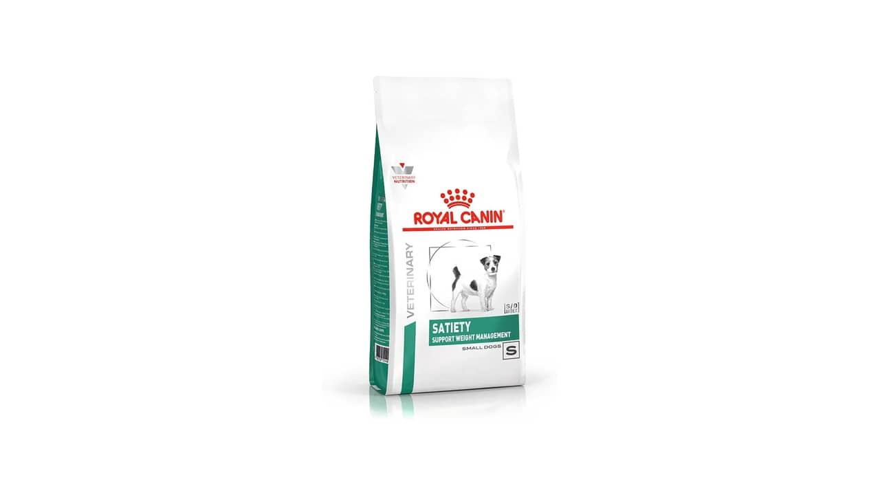 Melhor Ração para Cachorro Perder Peso: 9 Opções Nutritivas e Eficazes