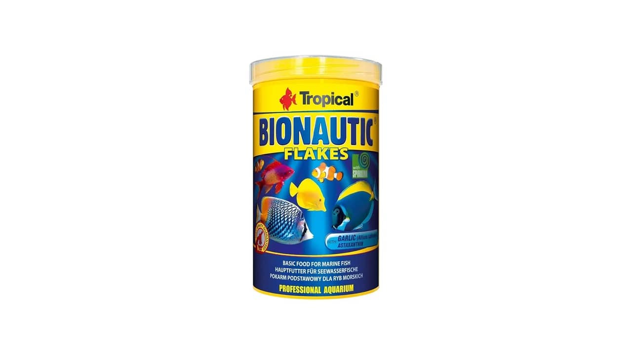 Melhor ração para peixe marinho: 10 Opções para Saúde e Cores