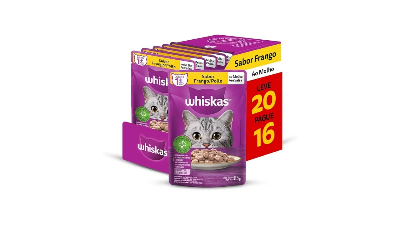 Melhor Ração Úmida para Gato: Guia de Hidratação