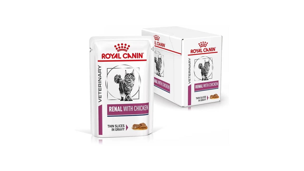 Melhor Sachê para Gato Renal: Análise Detalhada das 10 Melhores Opções
