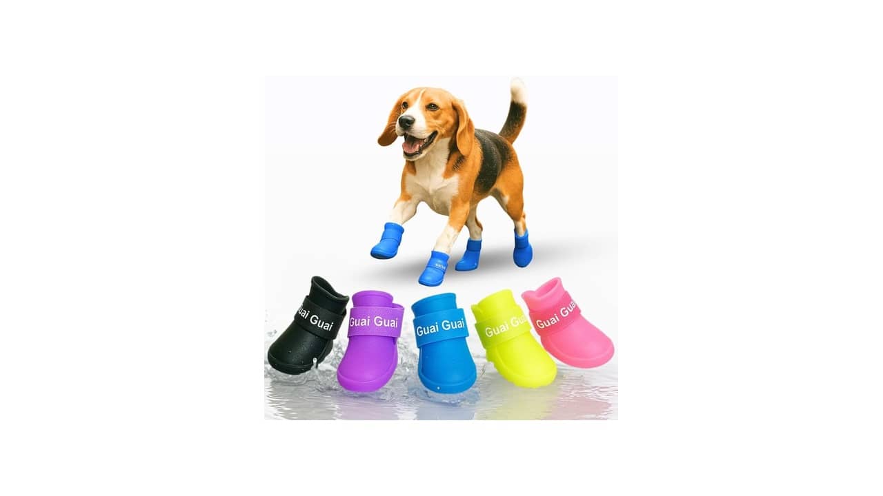 Melhor Sapatinho para Cachorro: Proteção Antiderrapante e Impermeável