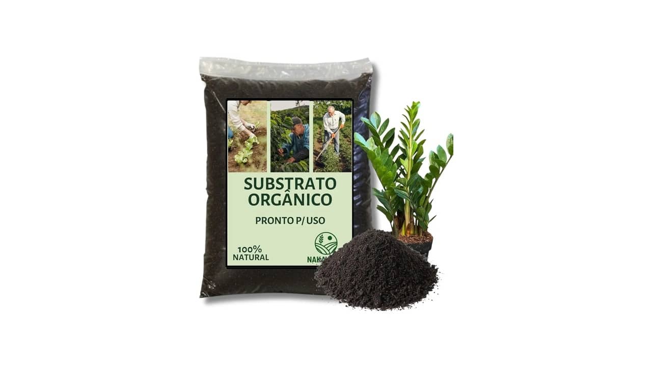 Melhor substrato para zamioculca: Guia de Drenagem