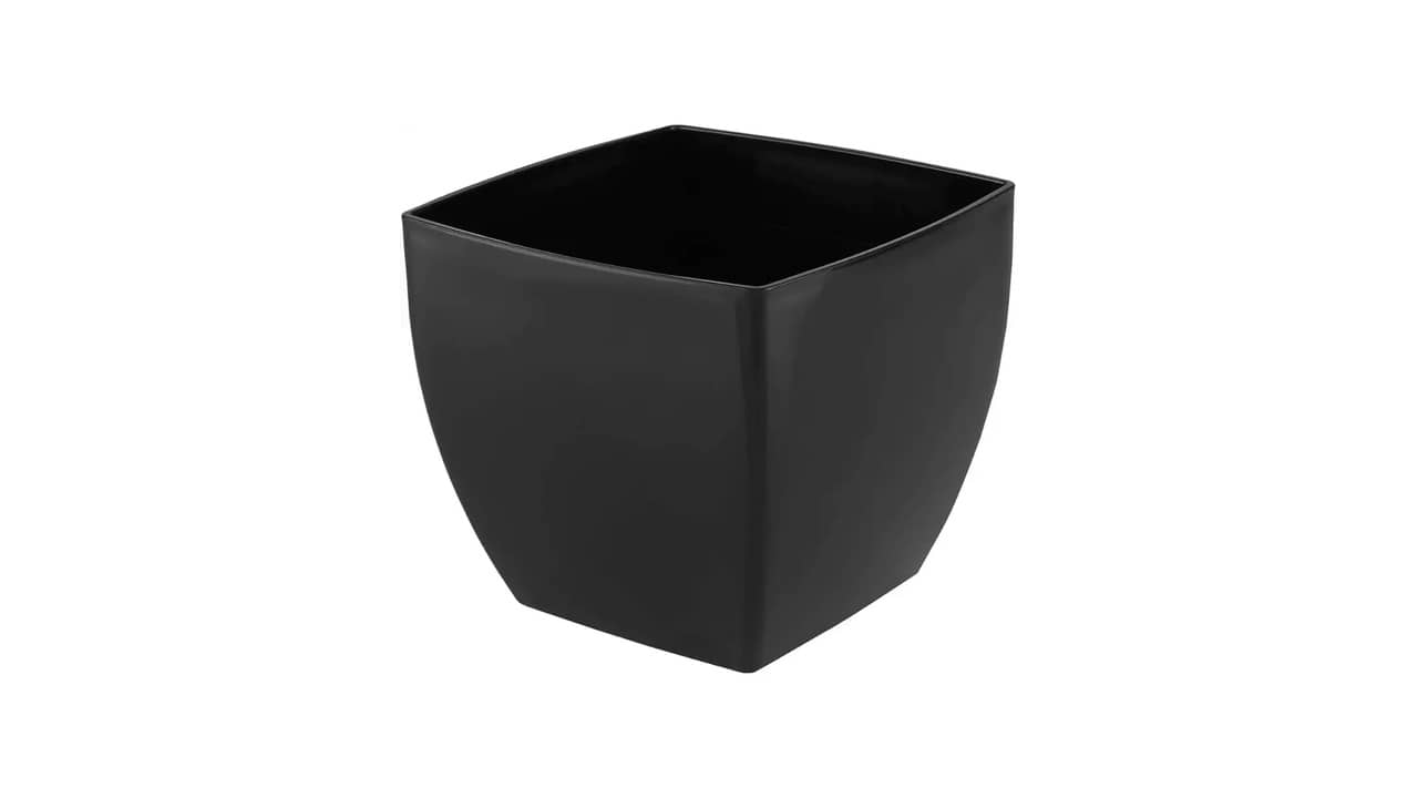 Melhor tamanho ideal de vaso para rosa do deserto: 10 Opções Incríveis